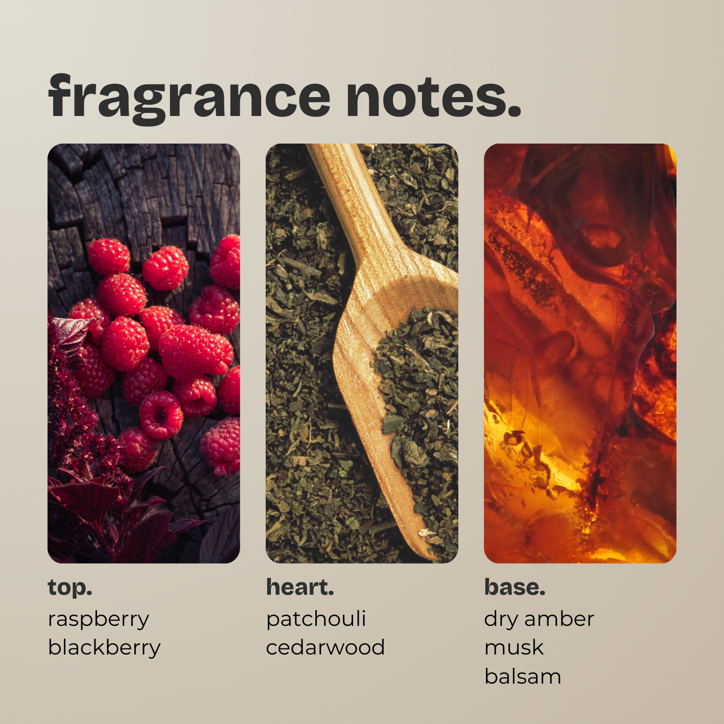 berry + dry amber. (LIMITED EDITION)
