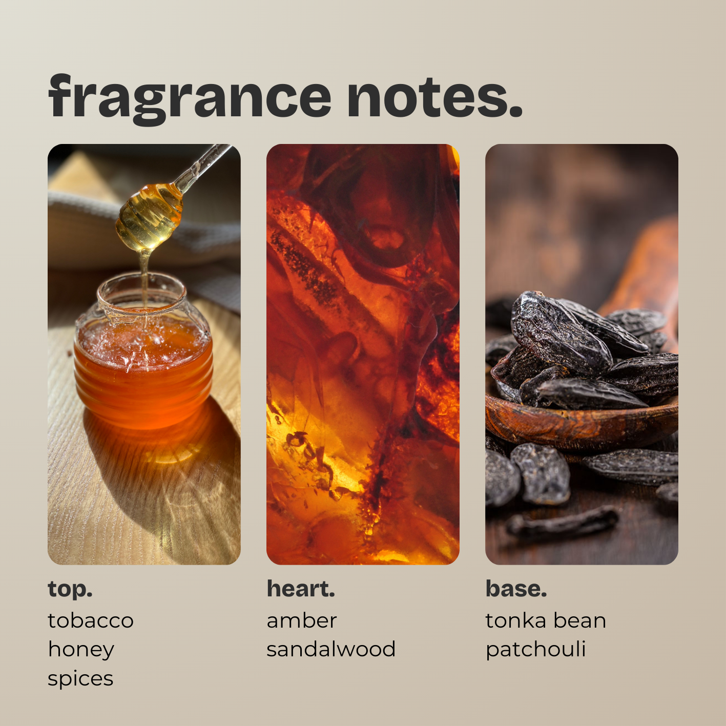 dark honey + tonka.