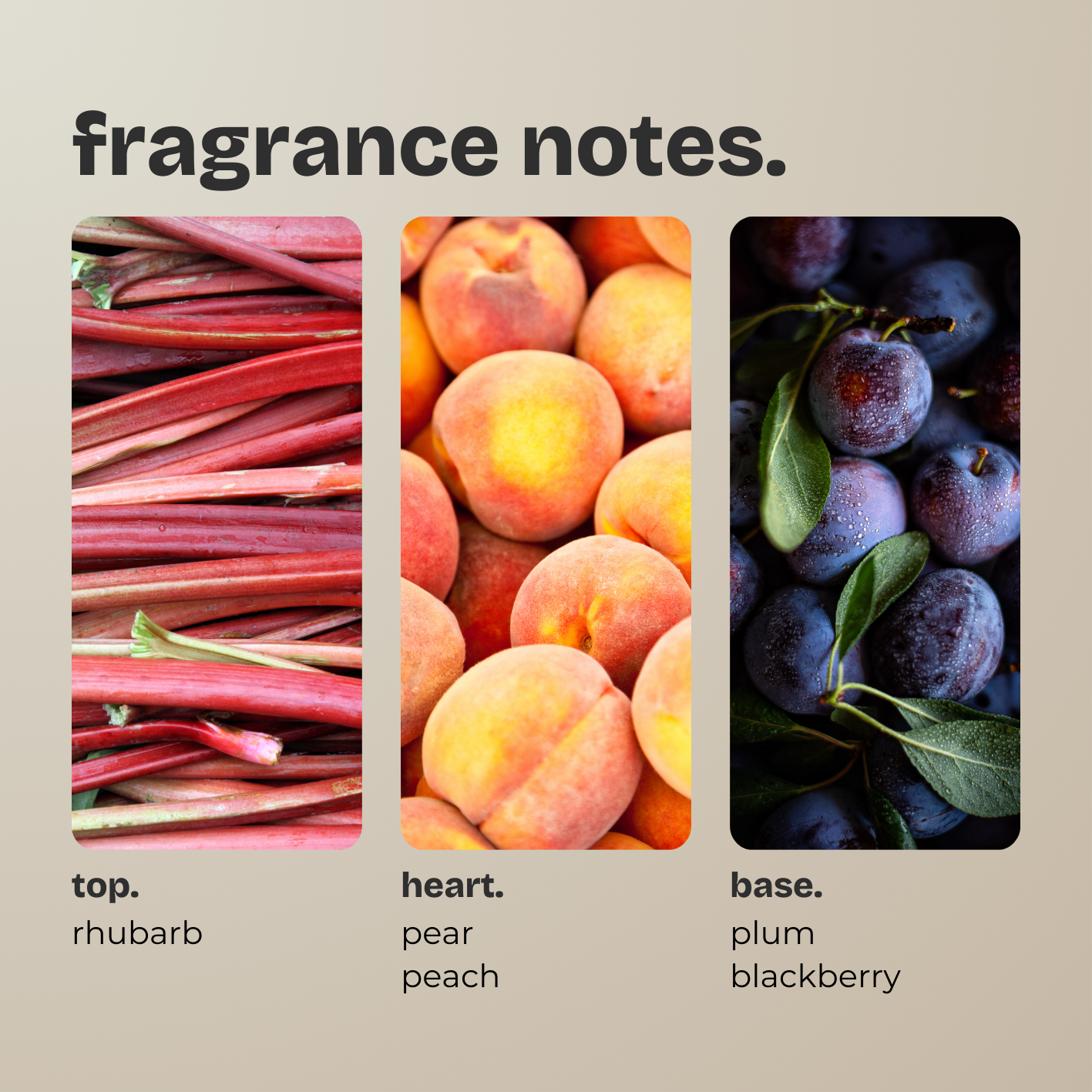 rhubarb + czar plum.