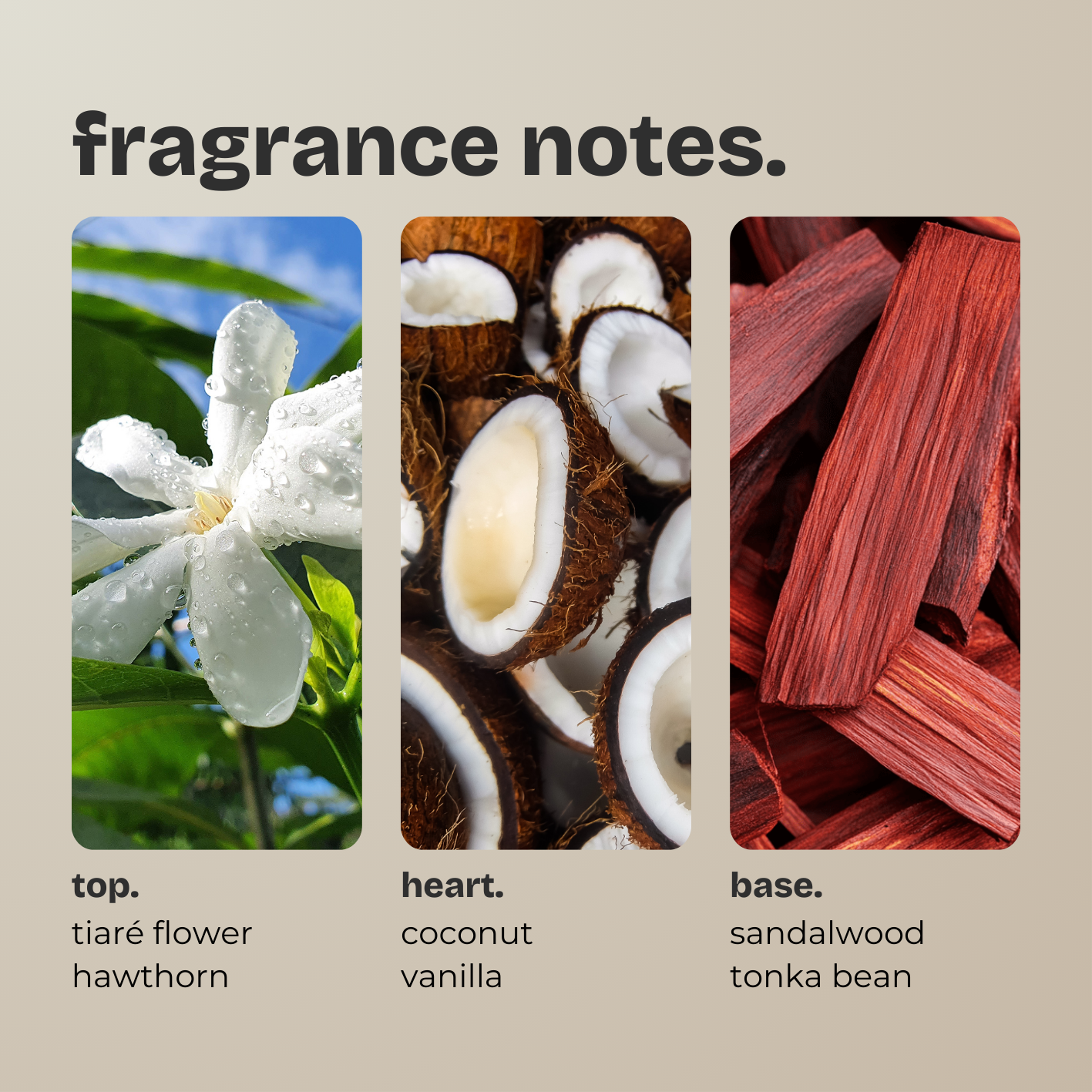 sandalwood + coconut.