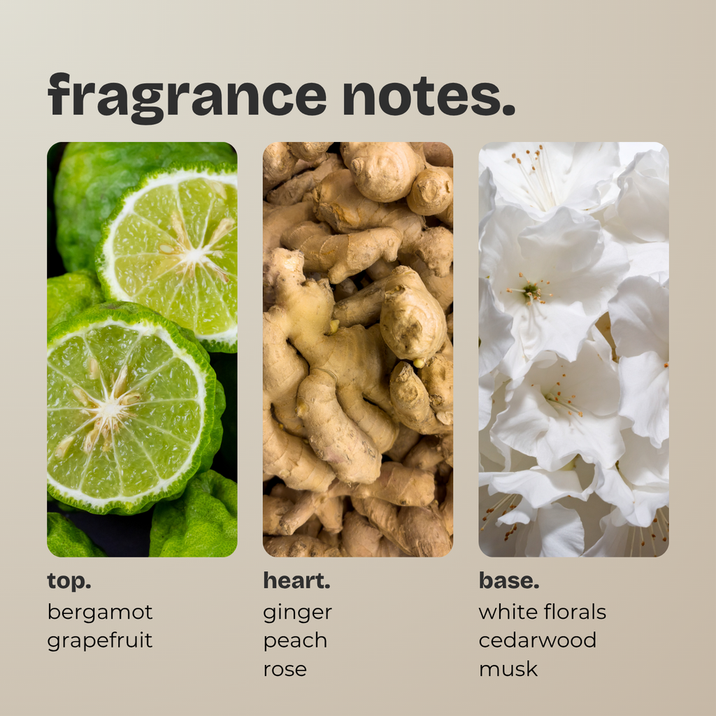 bergamot + ginger. (LIMITED EDITION)