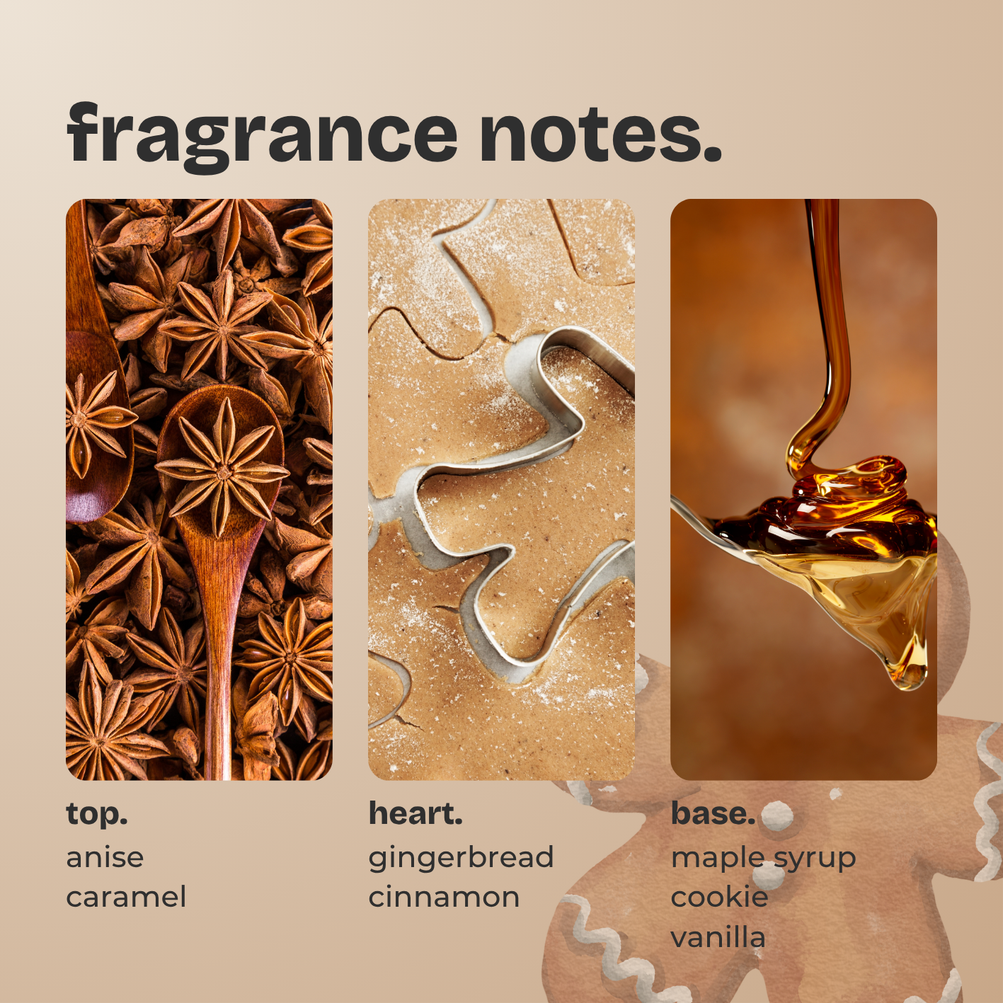 gingerbread + nutmeg. (FESTIVE EDITION)