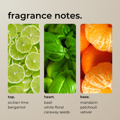 lime, basil + mandarin. (LIMITED EDITION Q2'25)