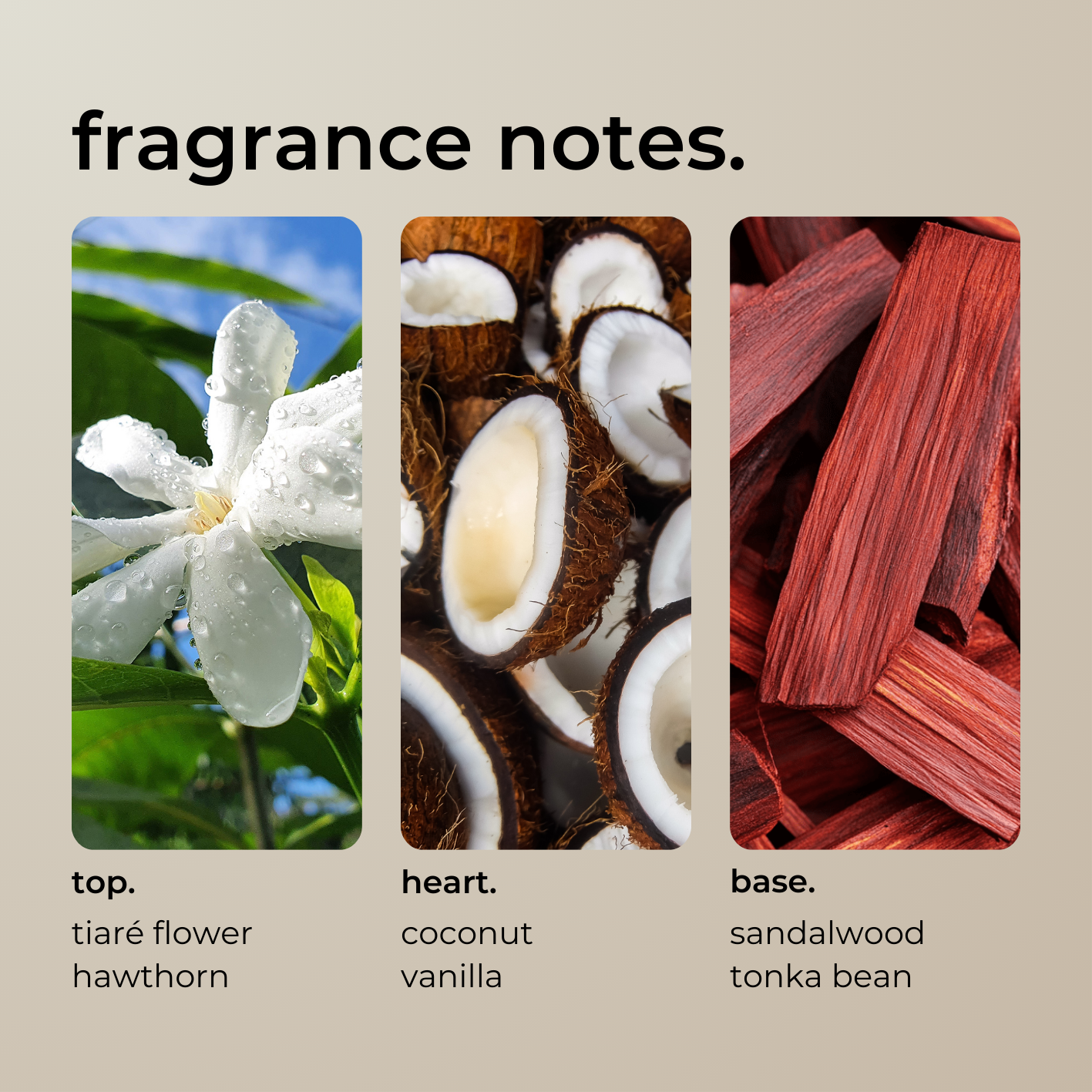 sandalwood + coconut.